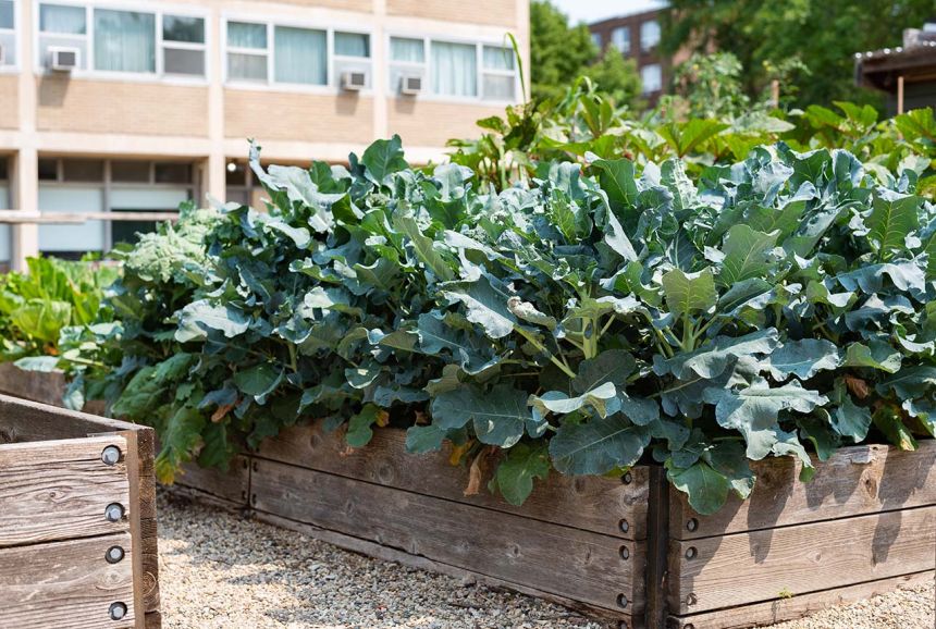 ufarm_gallery_860.jpg
