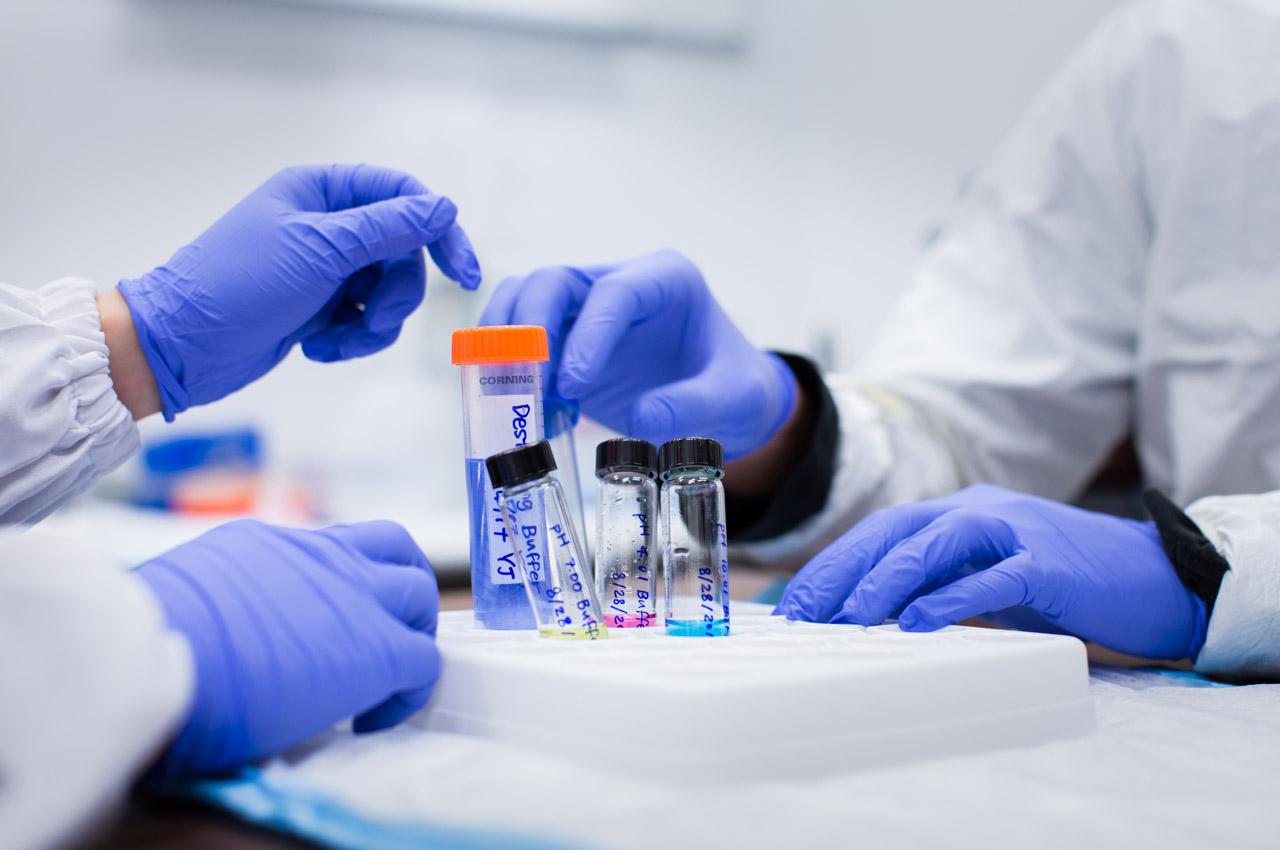 Photo of hands wearing gloves in biology lab