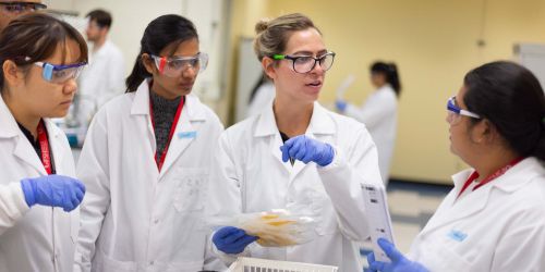 Food Science and Nutrition header 2400x1200