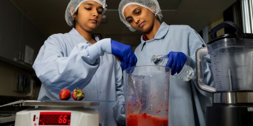 Illinois Tech students work in the Center for Nutrition Research
